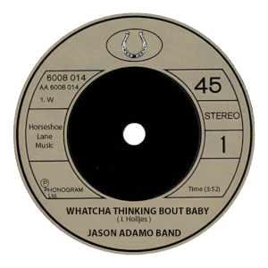 Jason Adamo Band - Watcha Thinking Bout Baby
